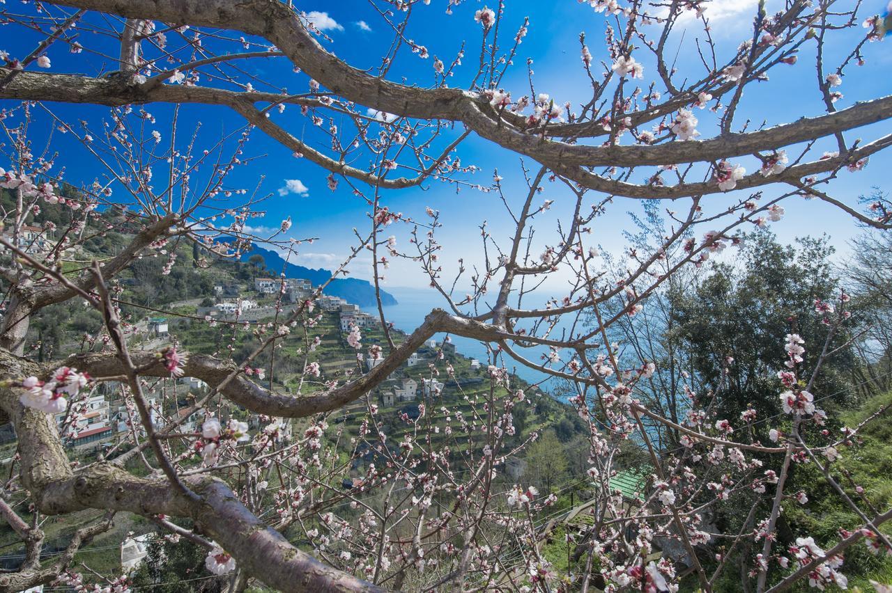 Casa Pina Lägenhet Amalfi Exteriör bild