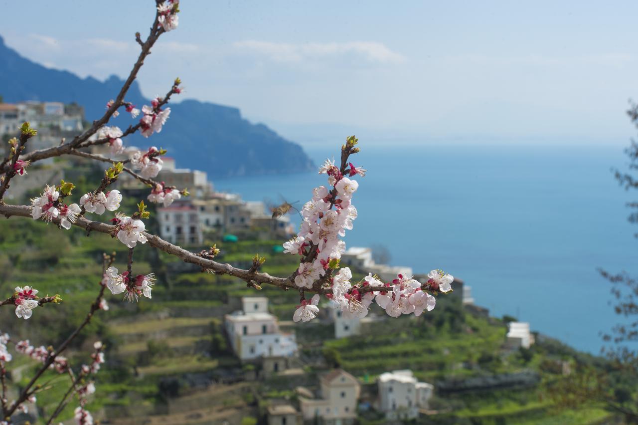 Casa Pina Lägenhet Amalfi Exteriör bild