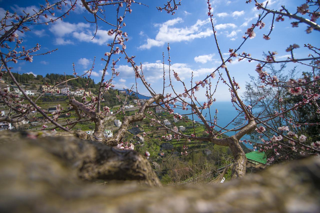 Casa Pina Lägenhet Amalfi Exteriör bild